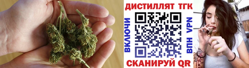 Купить где  Анжеро-Судженск  ТГК концентрат 